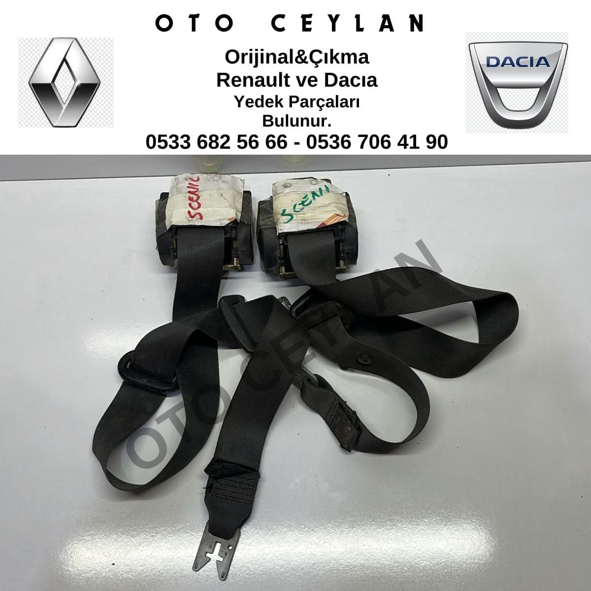 Scenic Ön Emniyet Kemeri Çıkma Orjinal