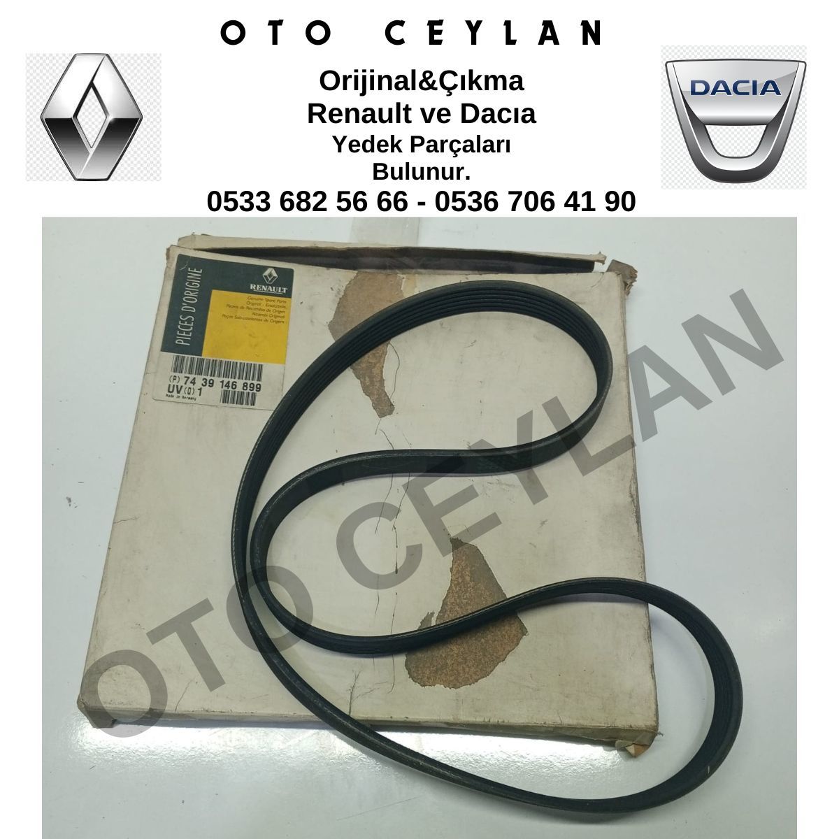 7439146899 7439146900 Safrane Laguna 2.0 16V N7Q Alternatör V Kayışı Sıfır Orijinal