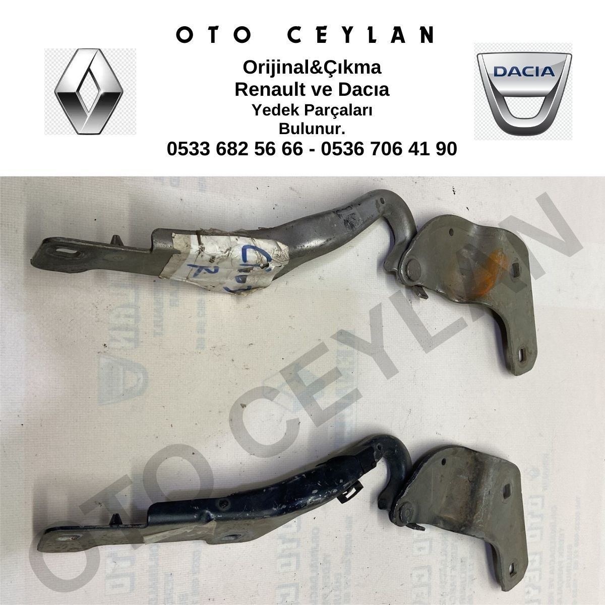 8200719034 Clio 3-III Kaput Menteşesi Sağ