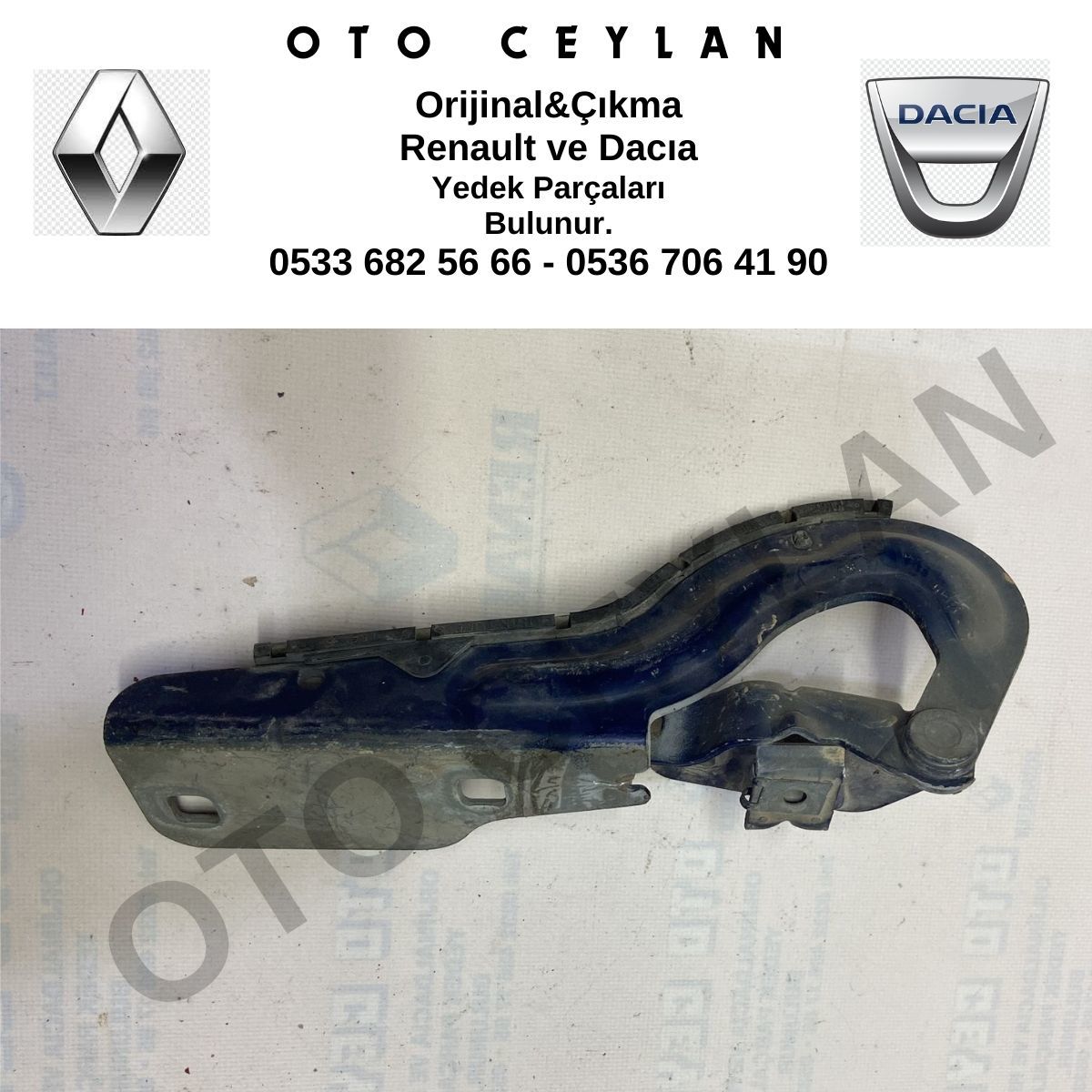 7700843530 Megane-Scenic Kaput Menteşesi Sağ