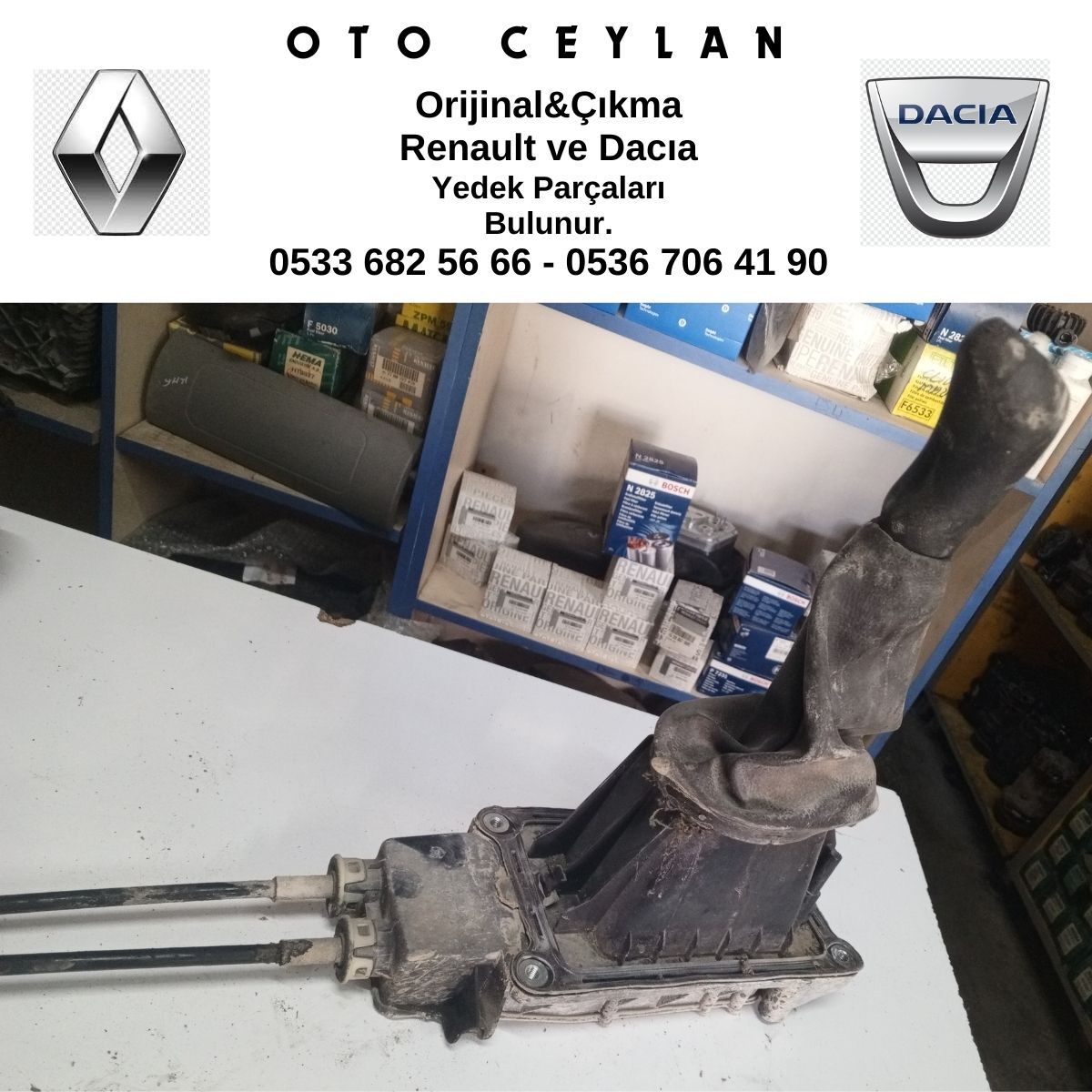 LOGAN VİTES KOL VE HALATI TK ÇIKMA MCW