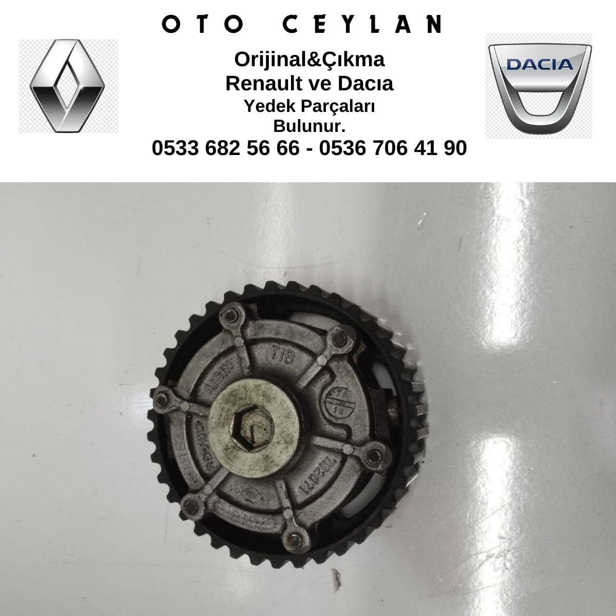 Laguna Eksantirik Dişisi Çıkma Orjinal