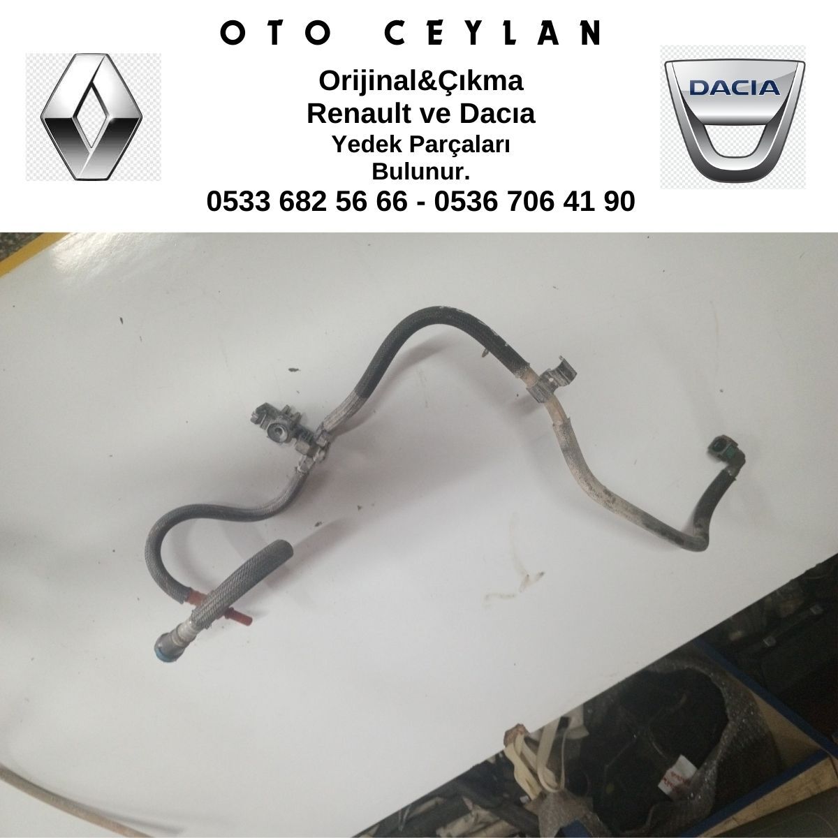 LOGAN MAZOT BORUSU ÇIKMA