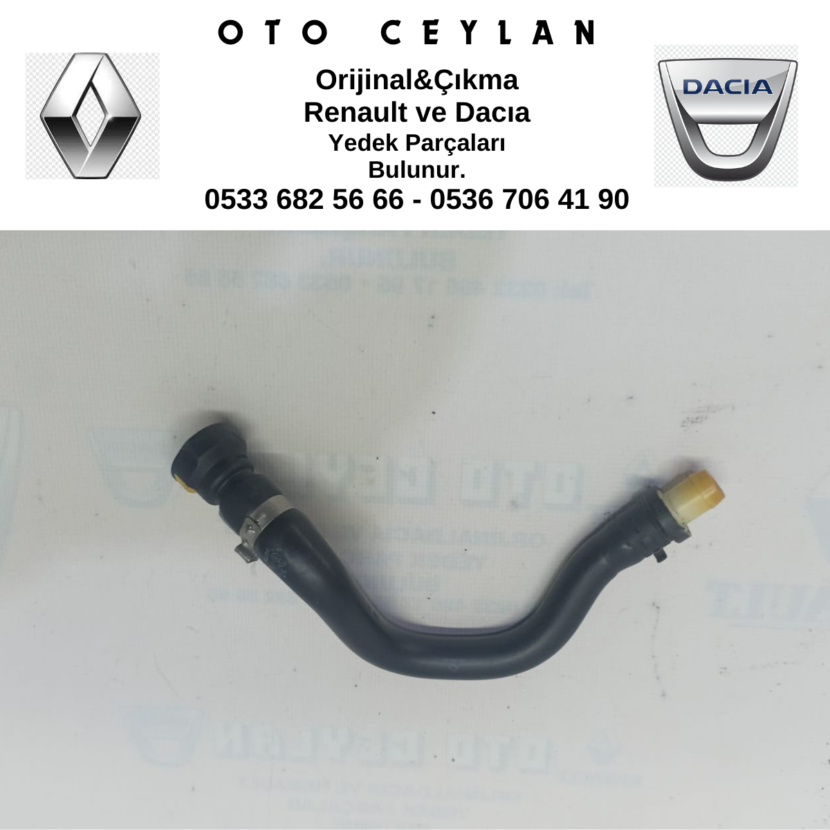 118260239R Clio 5 Dekantör Hortumu