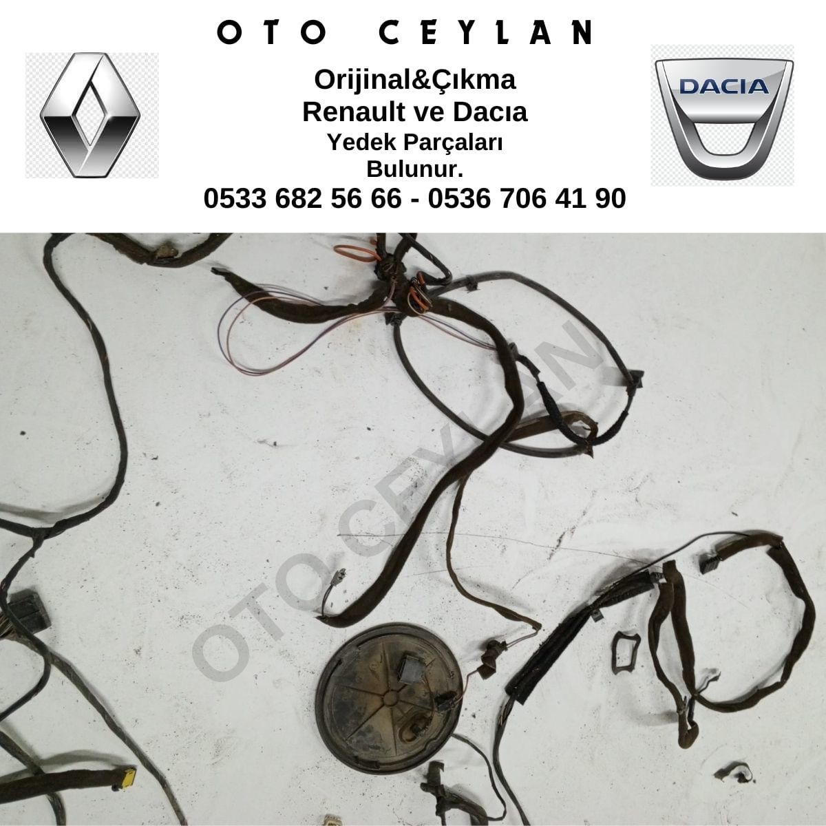 Thalıa Arka Tesisat Çıkma