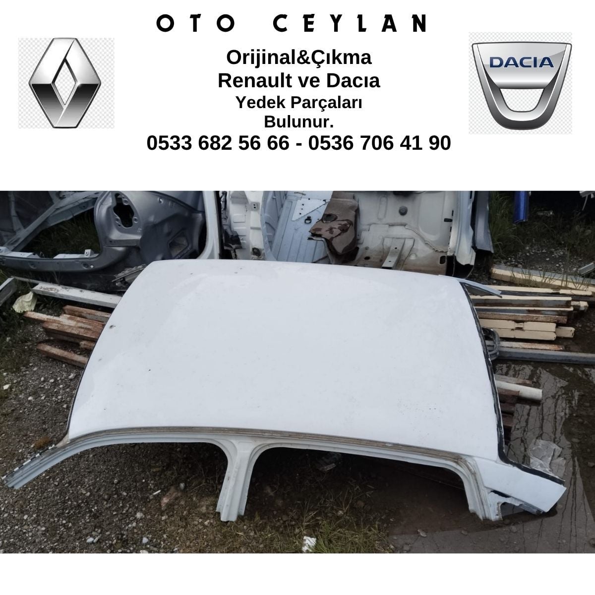 CLIO THALIA TAVAN KOMPLE KESME ÇIKMA