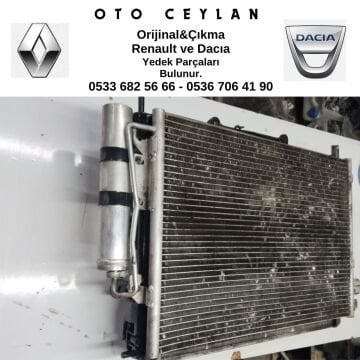 CLIO THALIA RADYATÖR GRUBU ÇIKMA